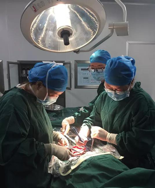 “最美医生”刘晓云——与妇产科风雨同舟走过的32年