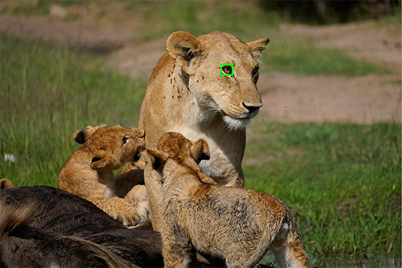 索尼a6600和富士xt3,索尼a6600拍视频