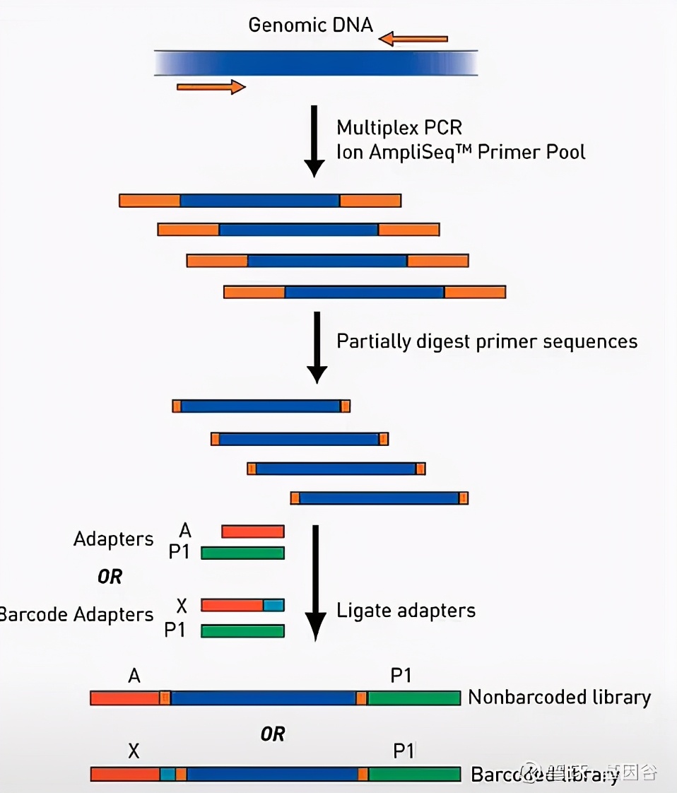 全场硬菜！分子诊断技术全解析