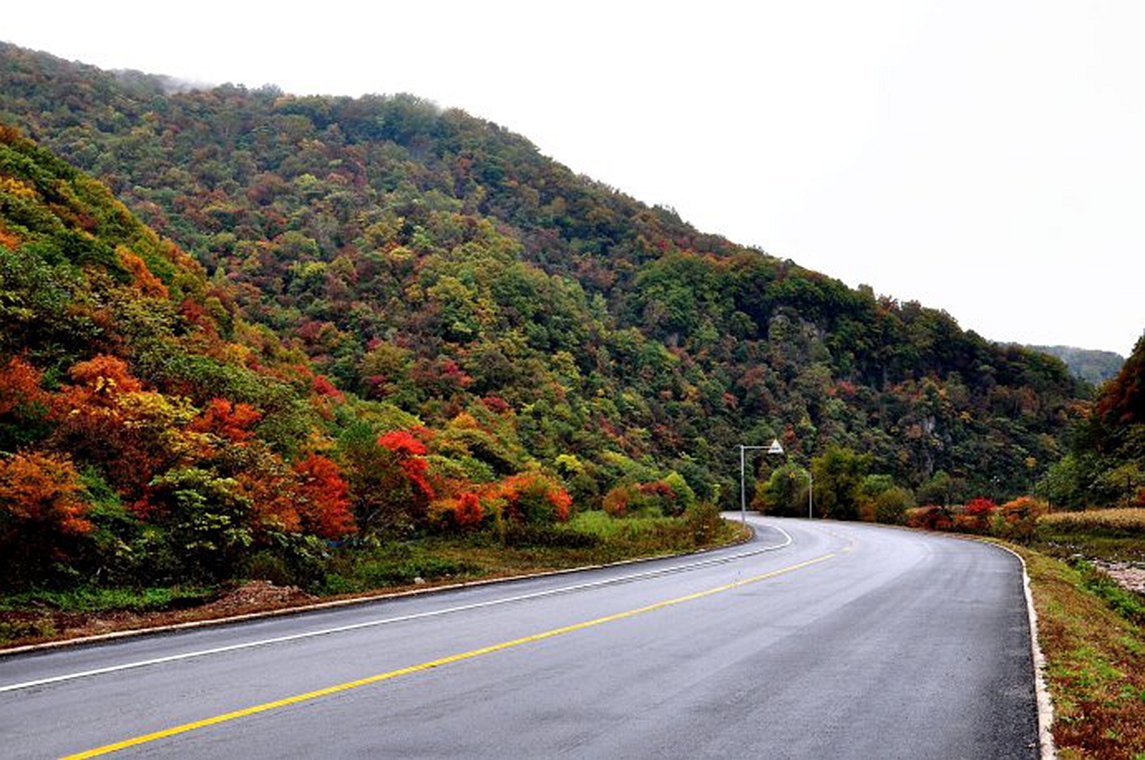 东北杀年猪来吃猪肉,老东北杀年猪