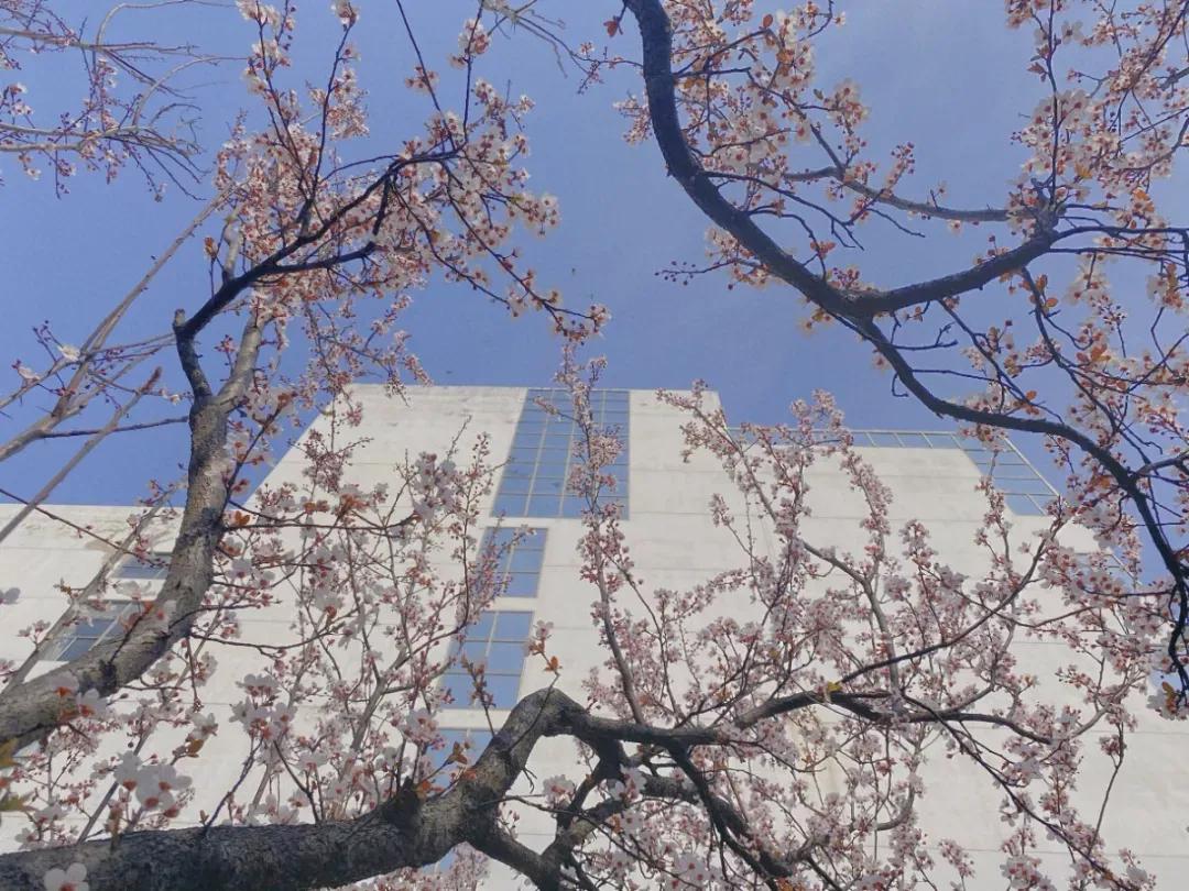 江苏省33所高校排名,江苏省300分大专院校