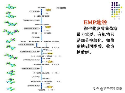医学考研人文医学复习,医学考研怎么备考2023