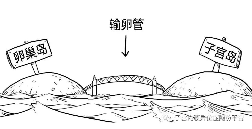卵巢囊肿巧克力怎么形成的,卵巢长了巧克力囊肿是怎么回事