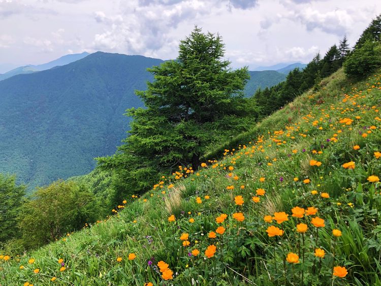 小五台山景区游玩攻略,小五台山快乐一日游