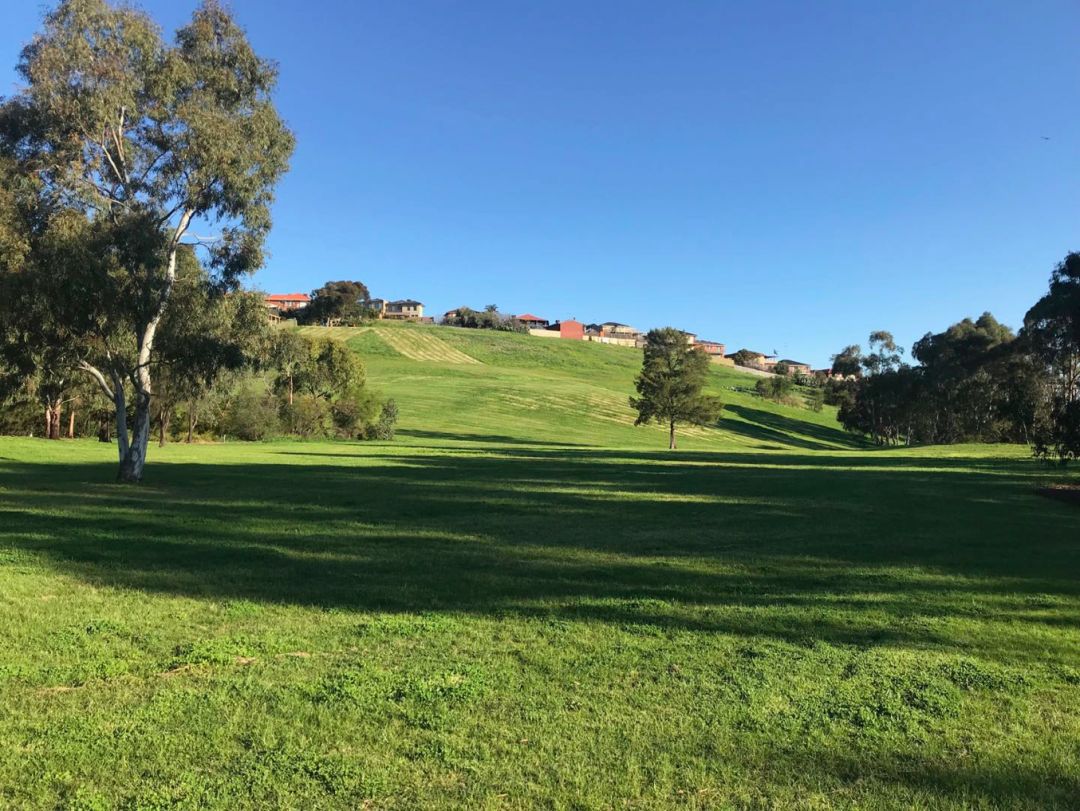 我在海外|在墨尔本开小店，正为澳大利亚人团购中国厕纸