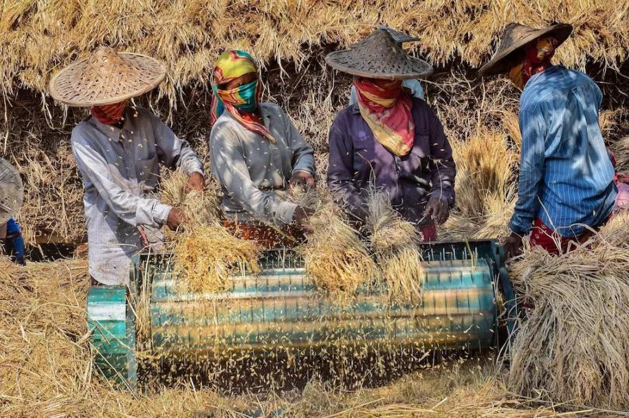 鍗板害鍐滄皯姝屾洸,鍗板害鍐滃か绁炴洸