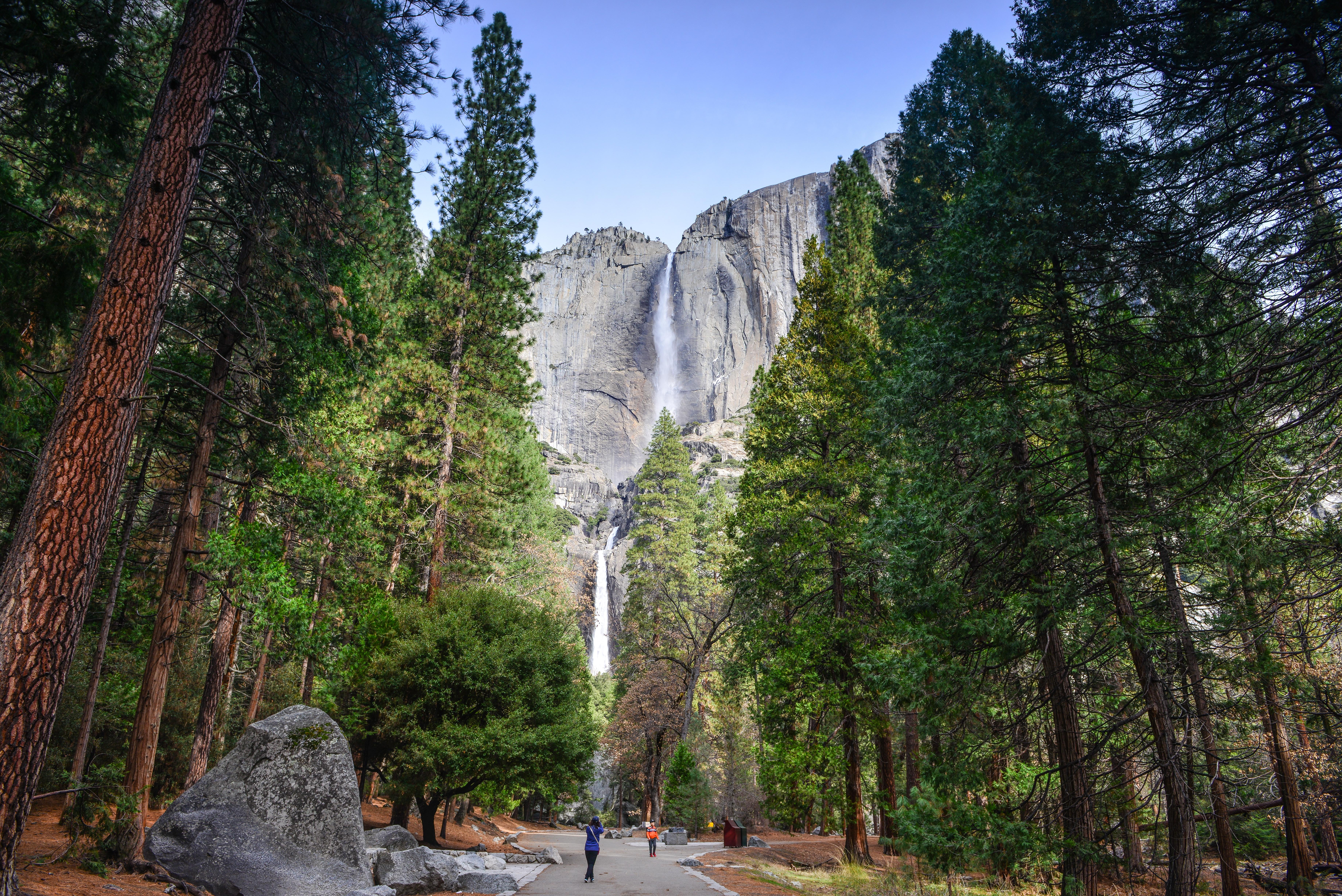 优胜美地国家公园,优胜美地国家公园1935