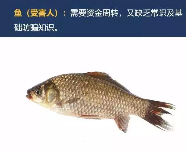 反电诈怎么操作 (反电诈小甜头后面实际是大圈套)