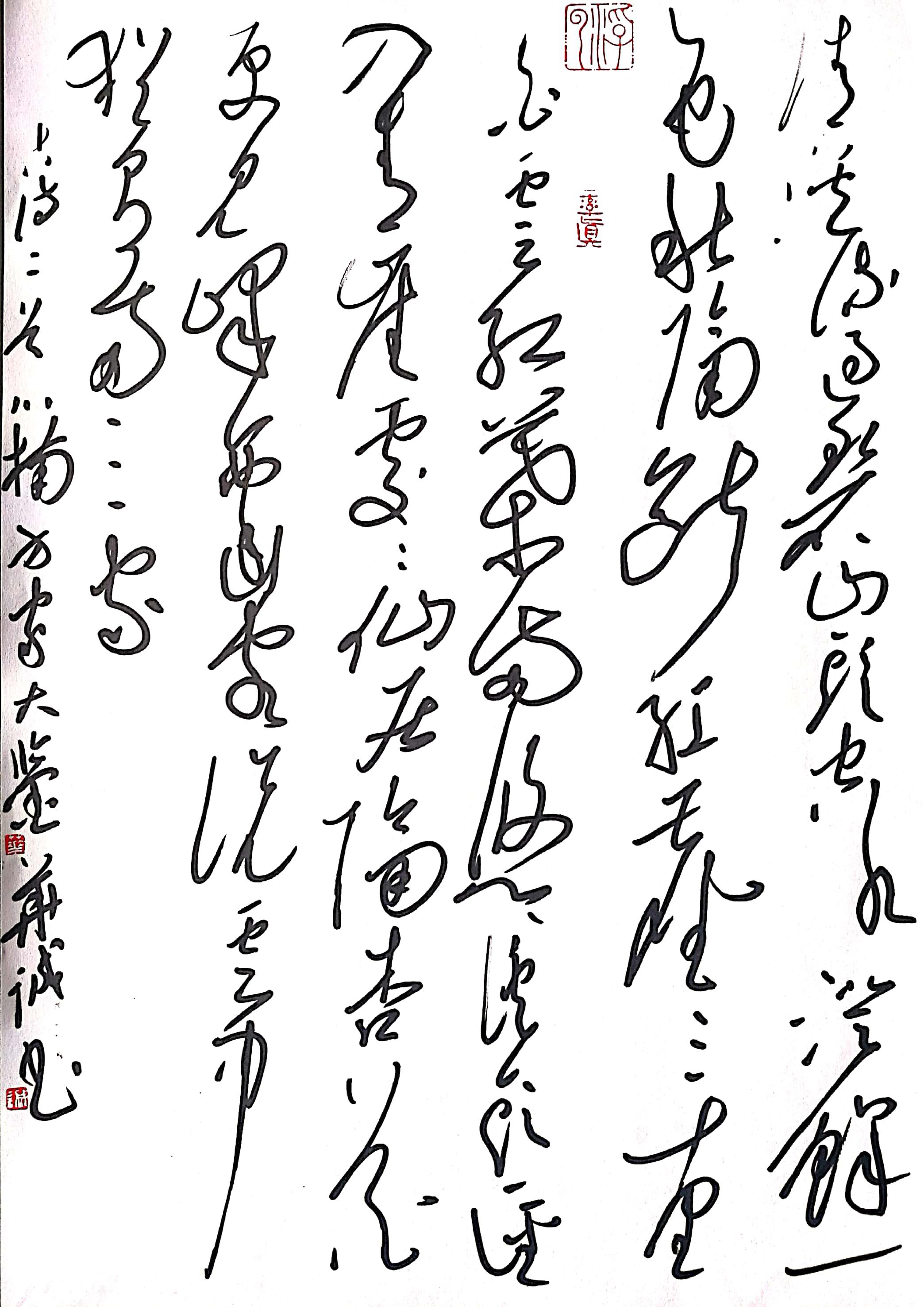 现代书法家华奎,当代书法家华伟