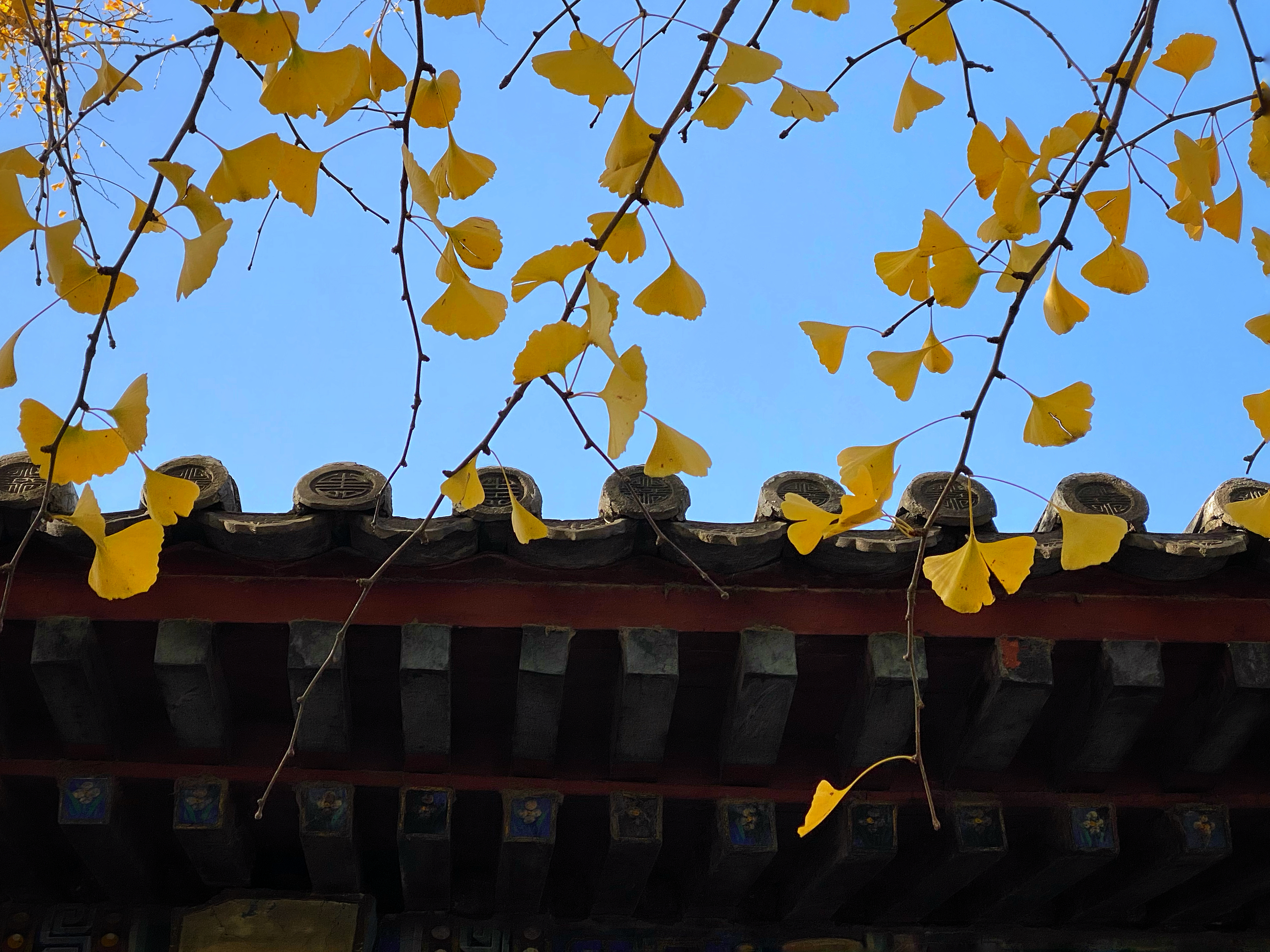 北京颐和园最佳拍照点,我用手机拍中国