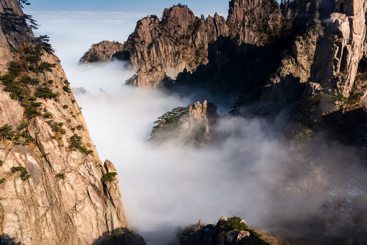 太极拳高阶练法，“聊聊小劲”，为你深度解读