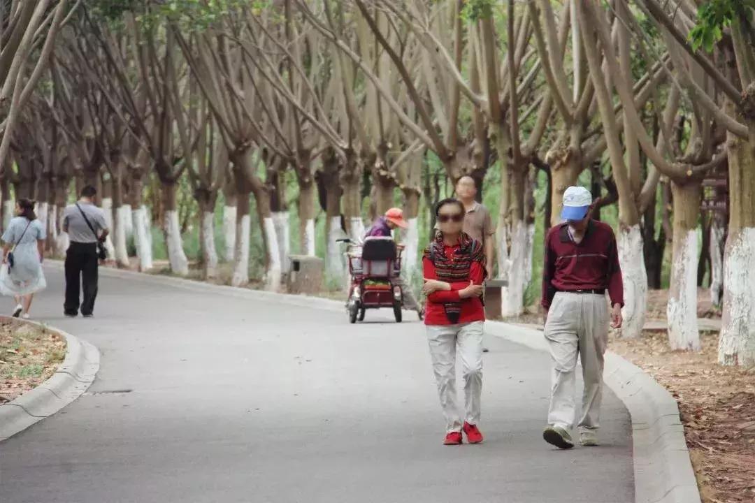 凉山彝族自治州邛海湿地,走进西昌邛海湿地