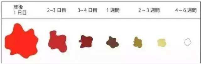 请简述产后恶露的分类和护理要点,关于产后恶露的描述正确的有