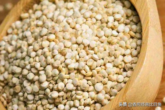 火遍全网的特产试吃,火遍全网的食物