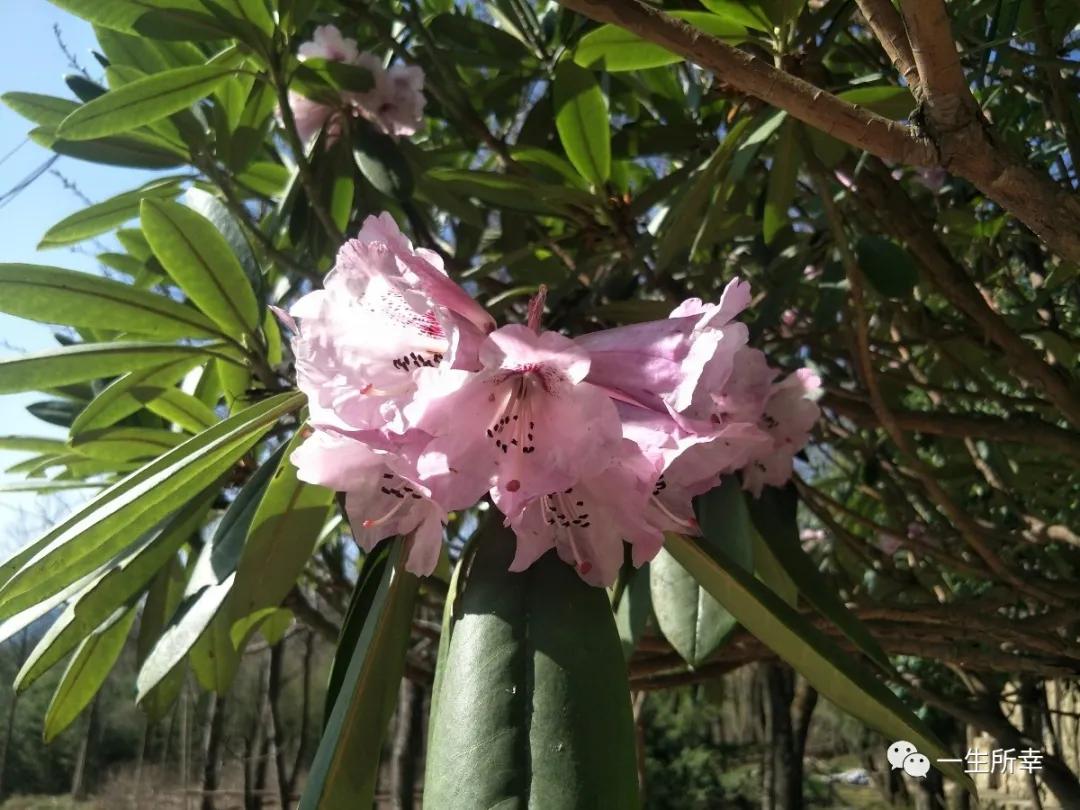 一川碧水,一川碧水一重山