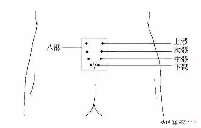 八髎:神奇的区域,通治一切妇科病。