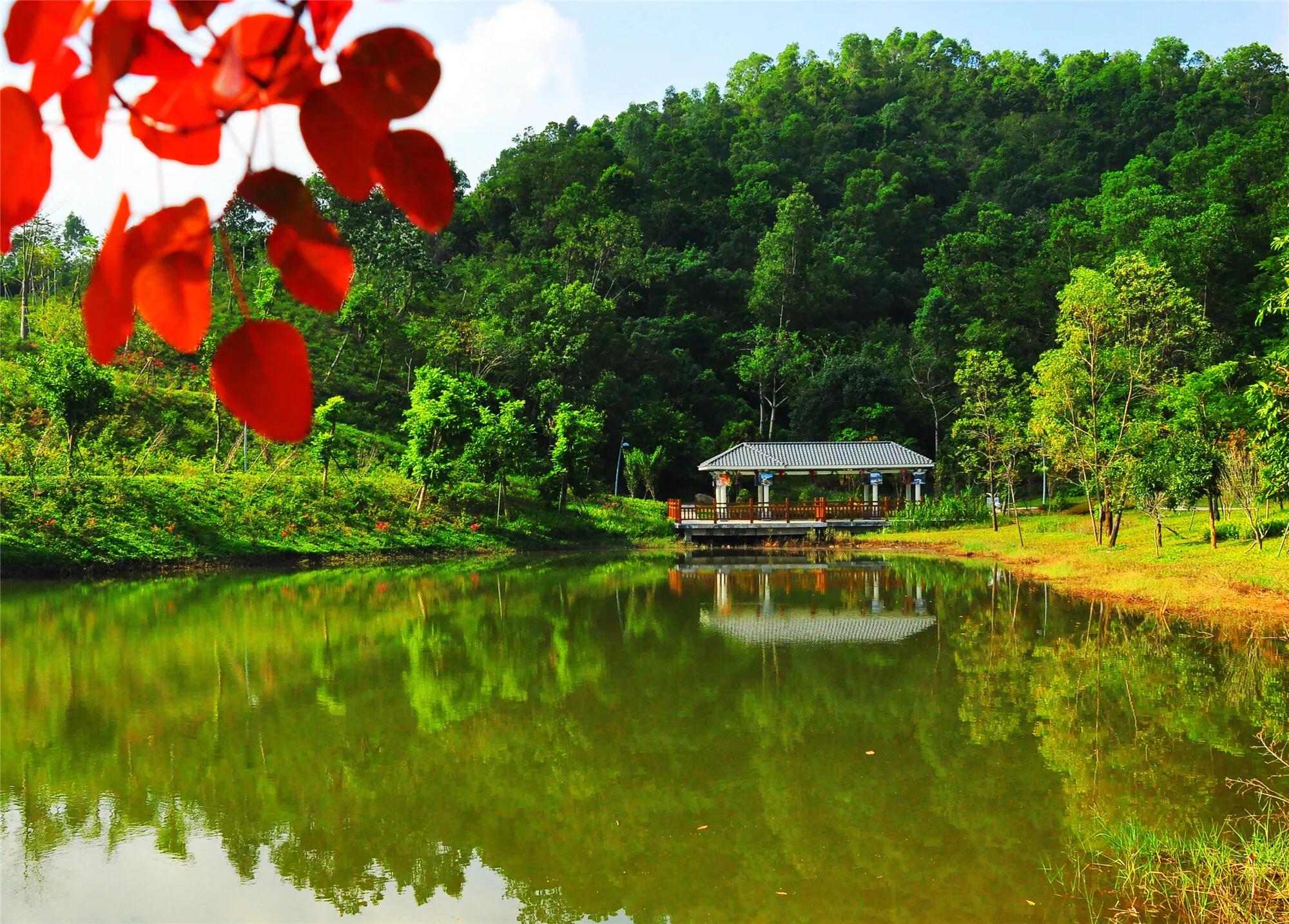 深圳免费公园哪里最好啊,深圳十大免费公园景点大全