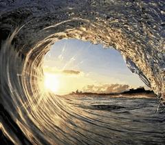 上闲鱼买48999元的二手爱马仕包，你敢吗？