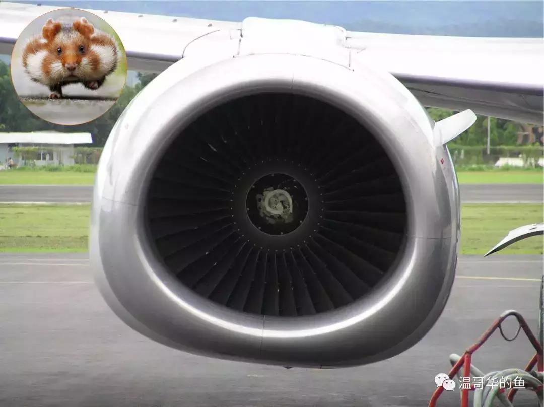 波音737客机故事,波音737历史