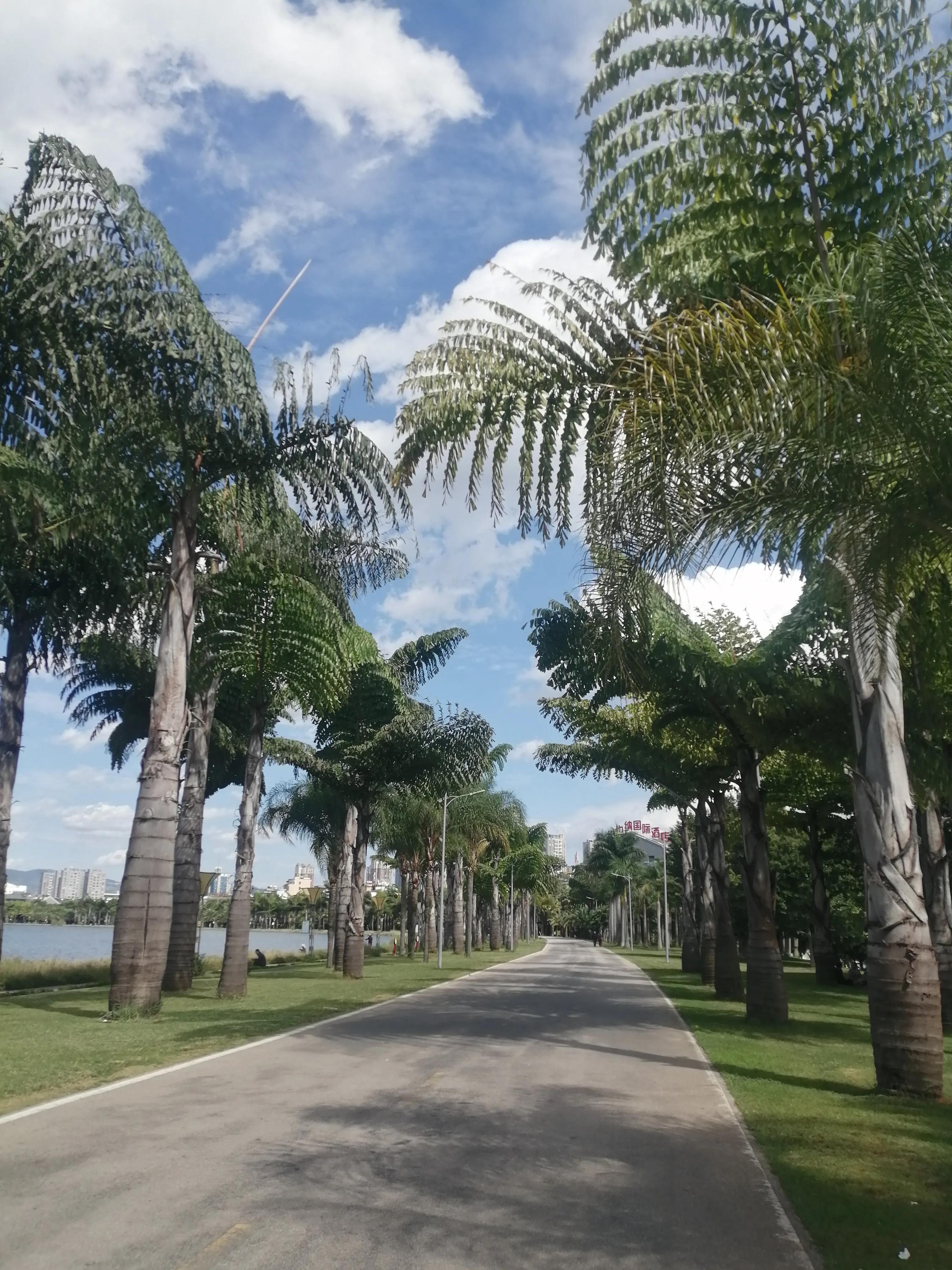 旅居养老式旅游弥勒,弥勒旅居住得最舒服的地方