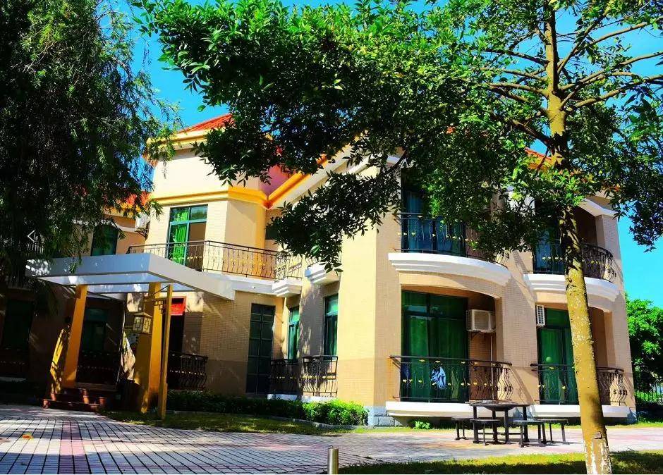 下川岛小帕劳,广东小帕劳