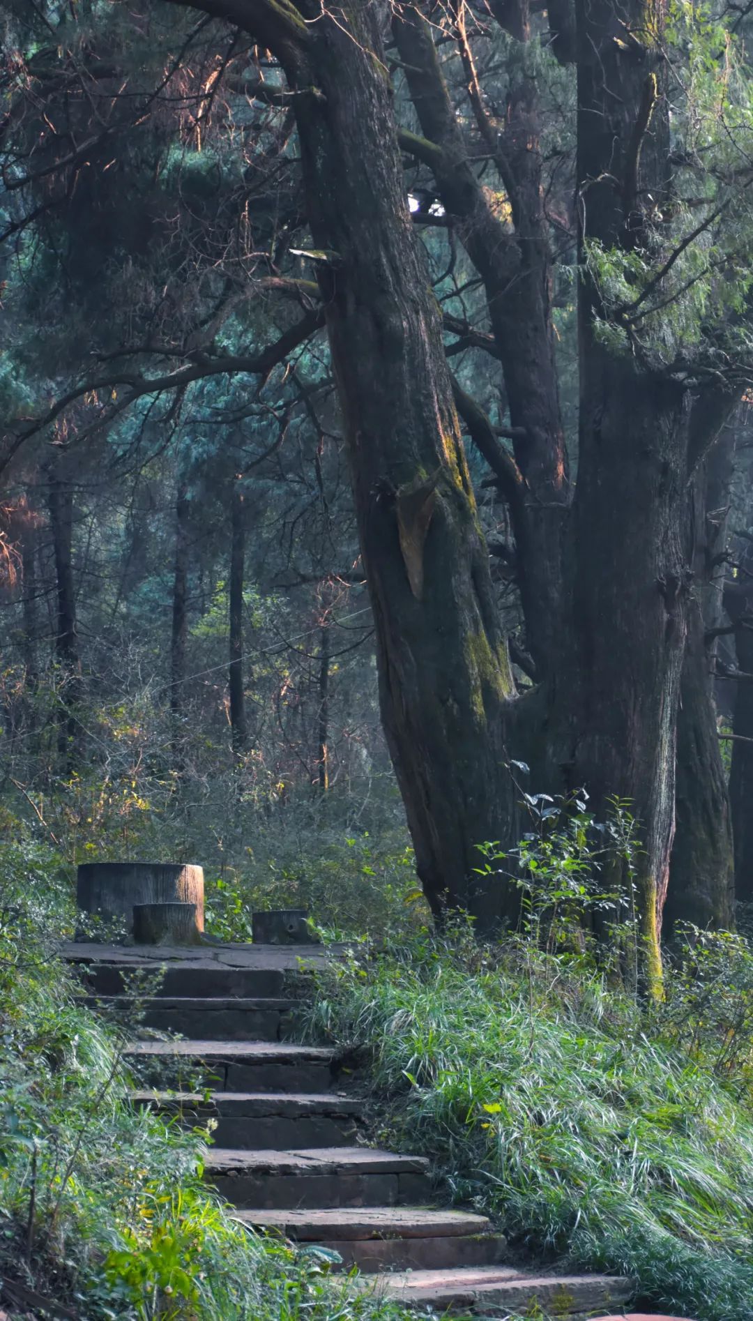 秦始皇张飞,秦始皇冬游