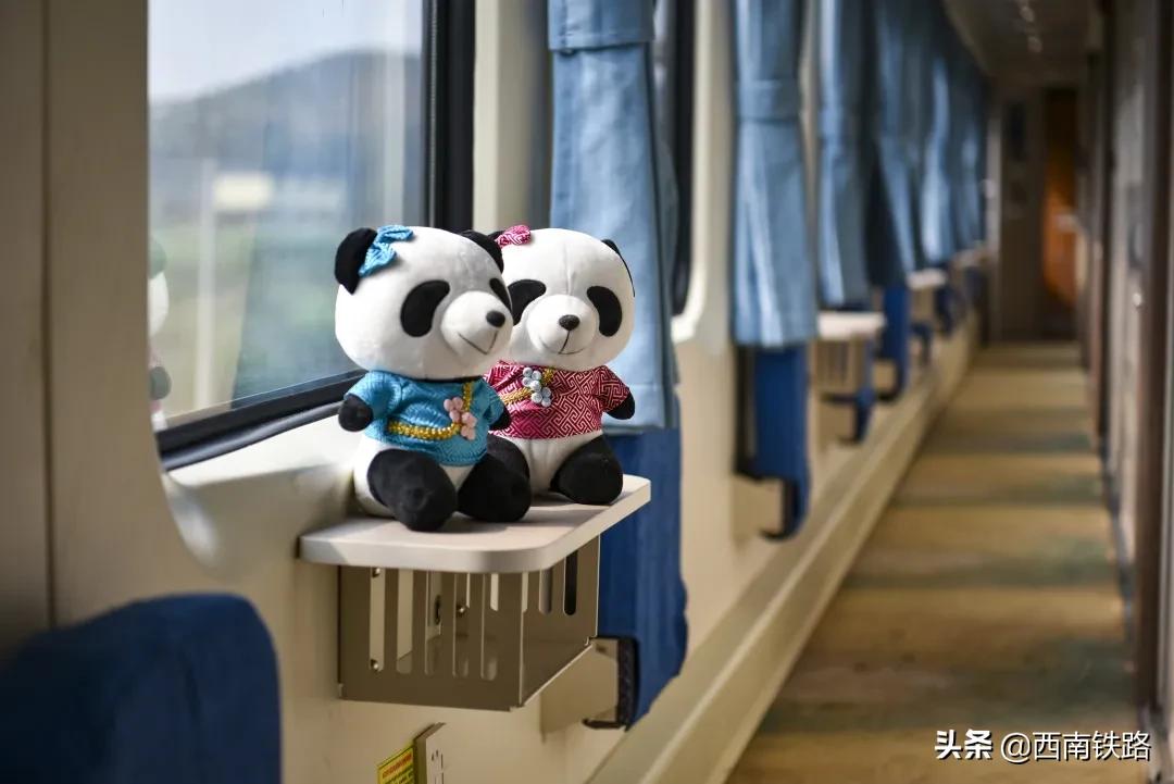熊猫专列贵州十日游,熊猫专列旅游