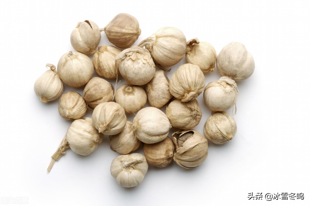 若没有潮汕卤水引领白蔻便无法成为中餐香料?答案和您想的不同