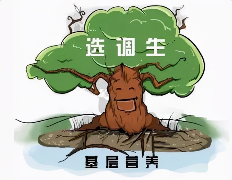 定向选调生待遇与前景,重庆选调生待遇怎么样