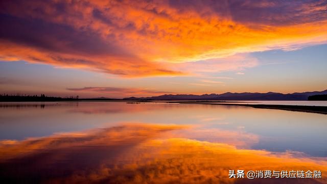 租赁保理案例讲解,租赁保理业务是什么