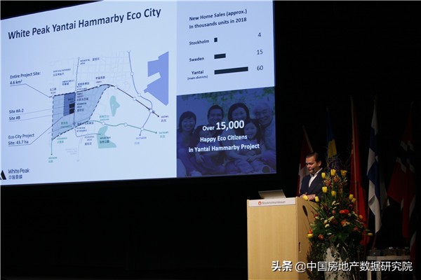 中瑞鼎峰集团有限公司,中瑞鼎峰瑞典