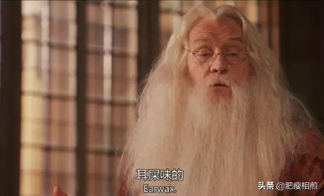 哈利波特一共有多少种美食,哈利波特中最诱人的三种美食