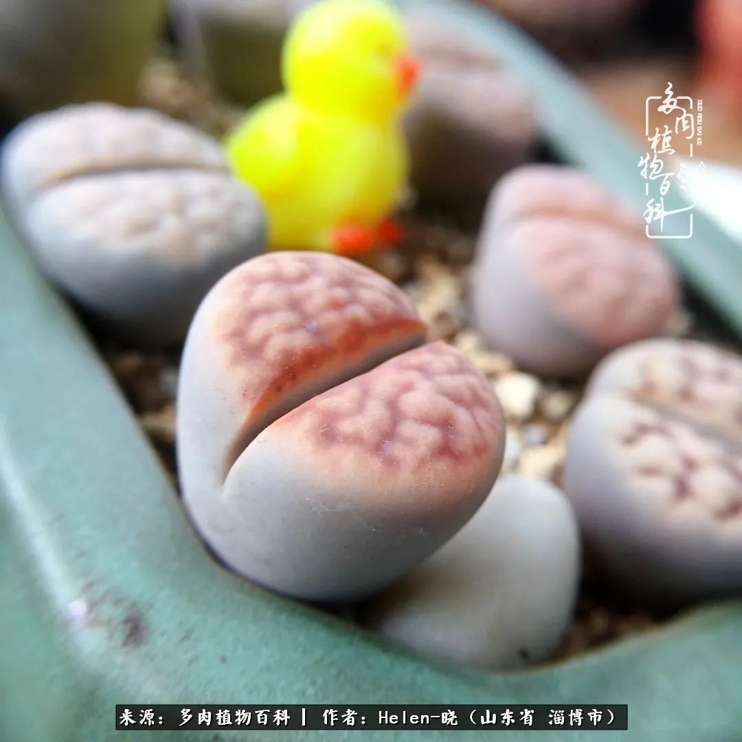 人到中年温暖如初,人到中年岁月静好