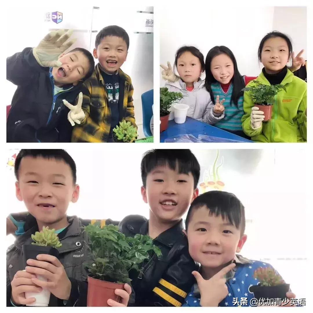 植树节播撒梦想厚植希望,植树节拥抱春天播种绿色放飞希望