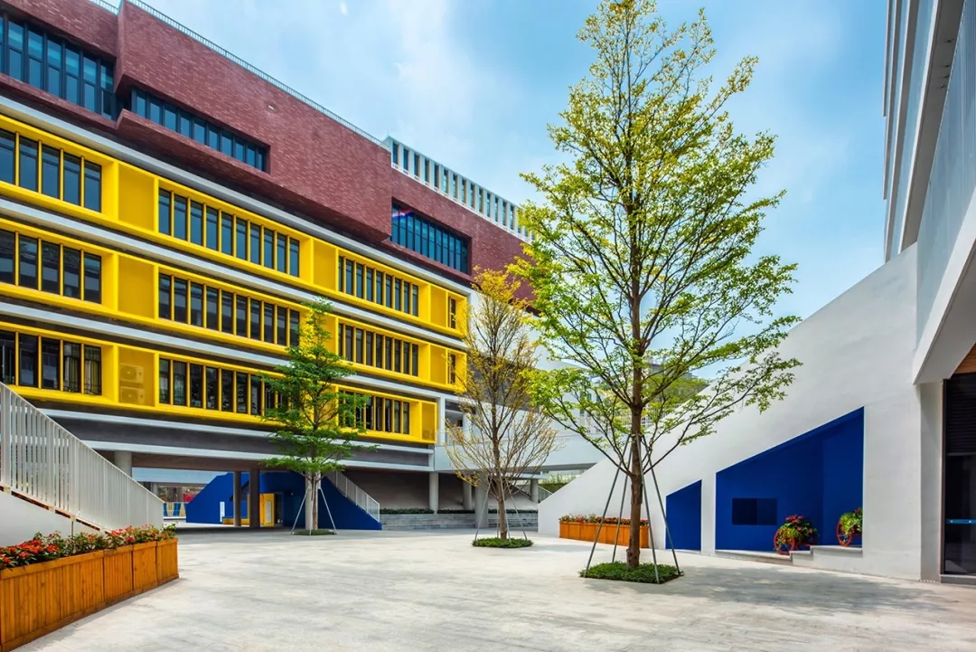 龙岗华中师范附属龙园学校怎么样,华中师大附属龙园学校深圳排名