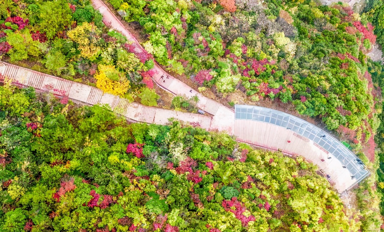 重庆三峡巫山云巅,重庆人间仙境南滨路