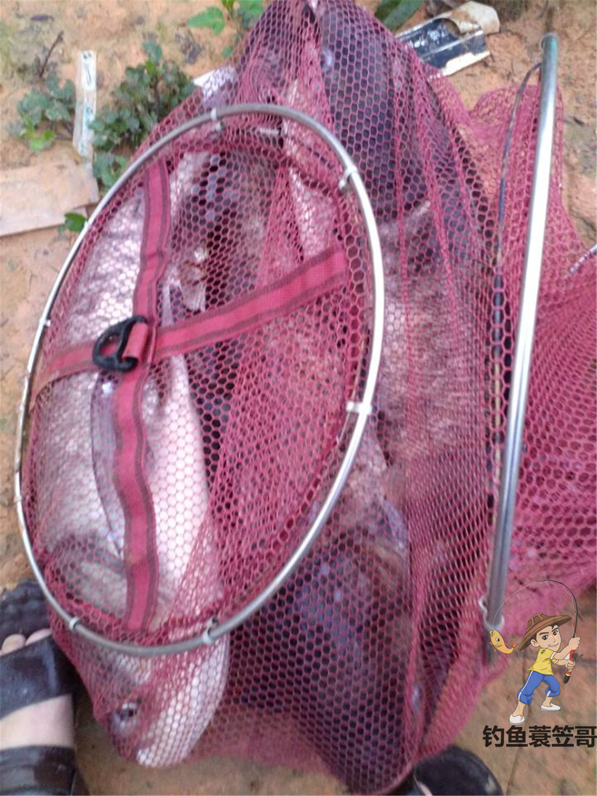 新手子线鱼钩怎么自己绑,钓鱼子线怎样绑钩才结实