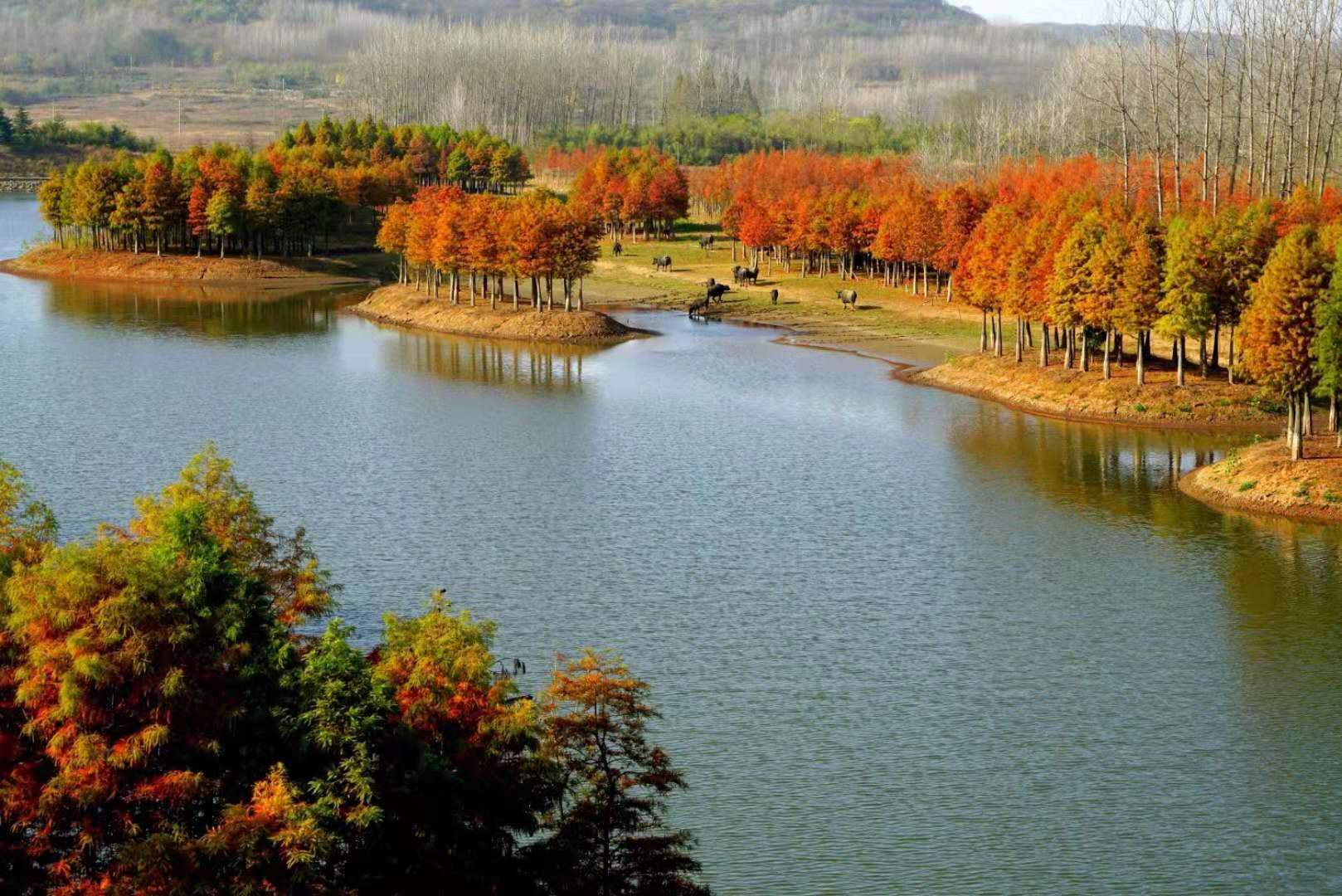 这些字你认识几个,这些字您认识几个