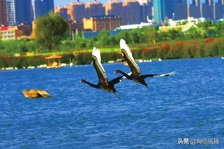 张掖三大公园,张掖最值得去的三个景区