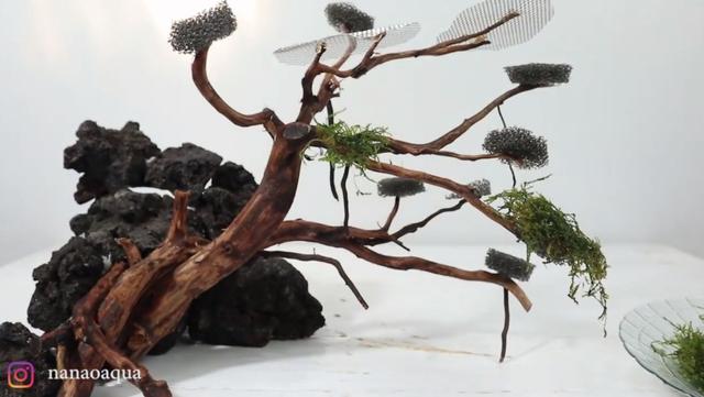 莫斯树到底好不好,莫斯树是什么