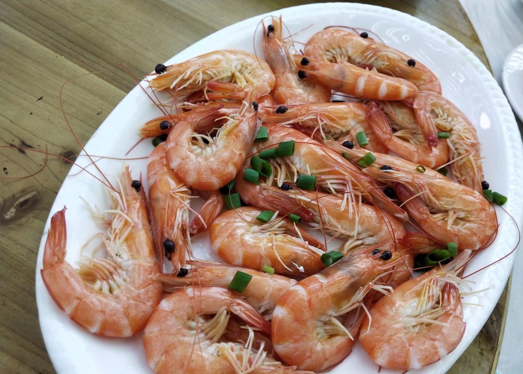 舟山旅游攻略,舟山朱家尖旅游攻略三天两晚住宿