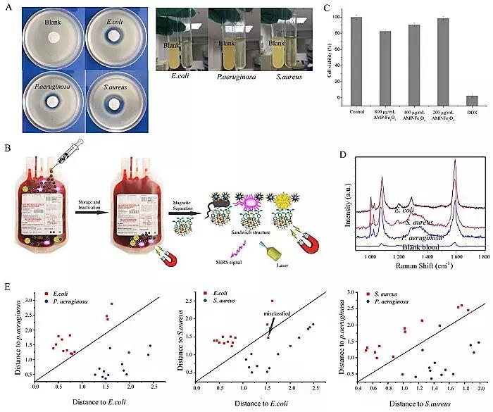 暨南大学：多功能生物传感器，病菌分离、检测、杀灭“三合一”