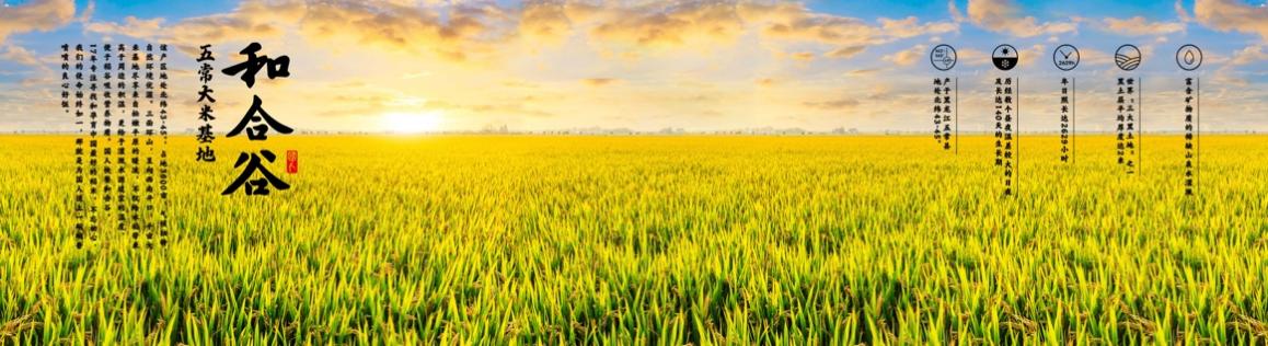 和合谷品牌战略升级:枝头吐新芽叶茂见根深