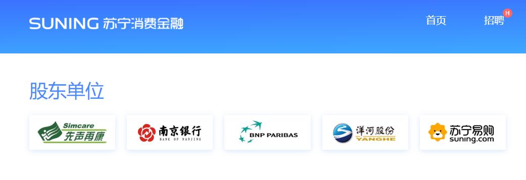 苏宁易购融资风险现状分析,苏宁金融经营状况