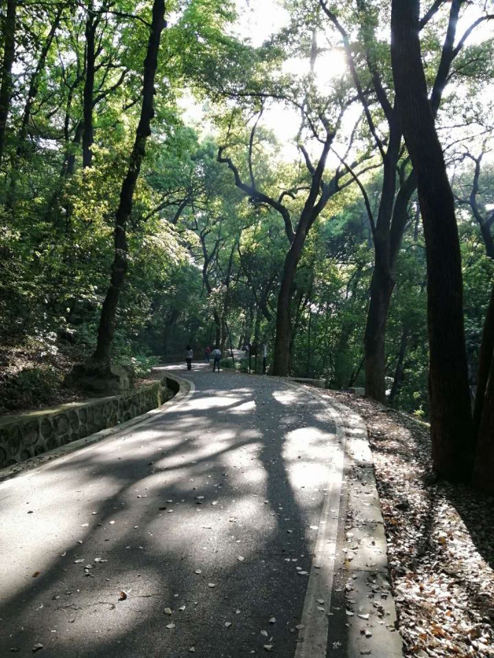 武汉旅游线路攻略图片,武汉攻略经典三日游