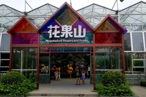 南宫五洲植物乐园花果山项目,玩不够的游乐设备