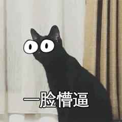 猫咪不用猫砂乱拉乱尿怎么办,猫咪尿味在家里怎么快速处理