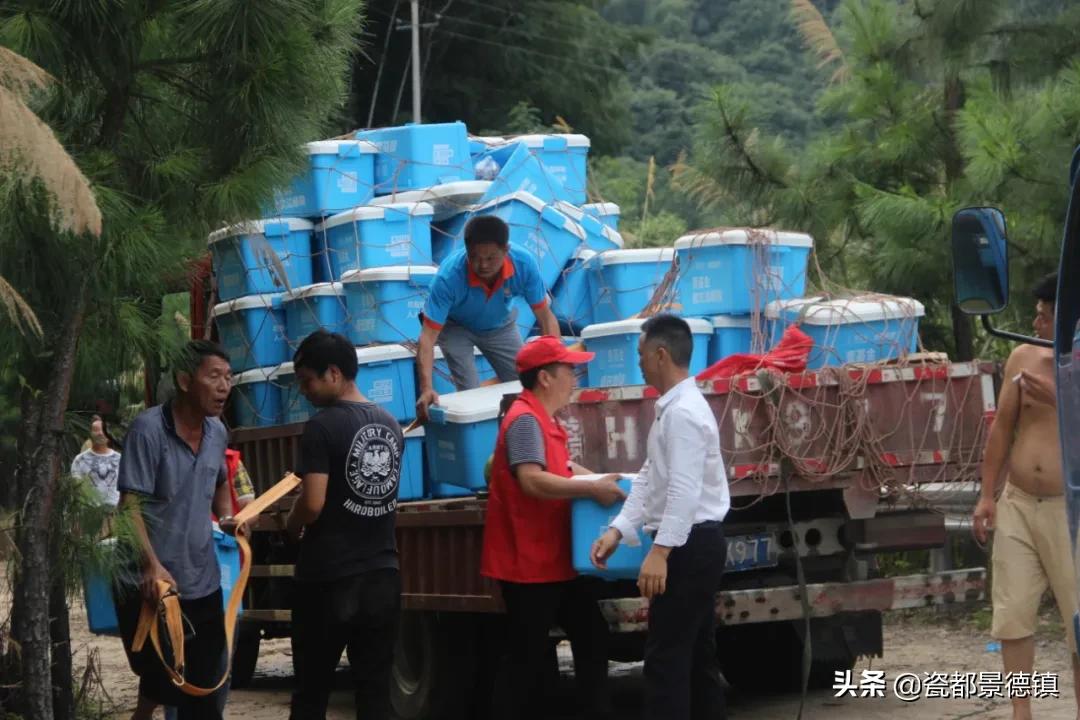 江西公益志愿者在行动,江西公益组织