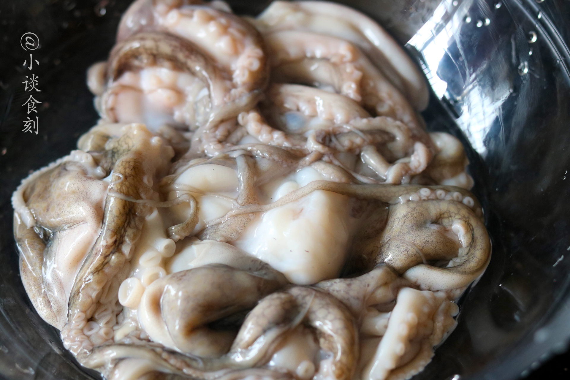 墨鱼鱿鱼乌贼怎么吃,墨鱼乌贼章鱼鱿鱼到底有什么区别