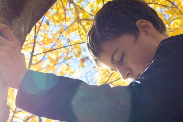 父母吵架离婚做儿女的应该怎么办,父母吵架儿女怎样调解
